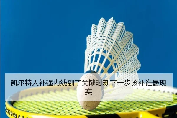 凯尔特人补强内线到了关键时刻下一步该补谁最现实